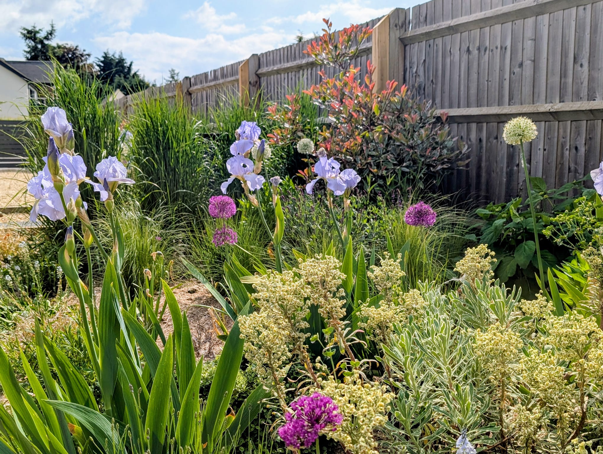 Plant Health Care